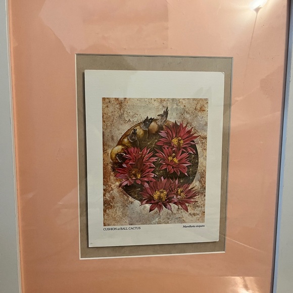 Framed Art Print Cushion Or Cactus Ball with Pink and White 18” x 22” - Picture 3 of 4